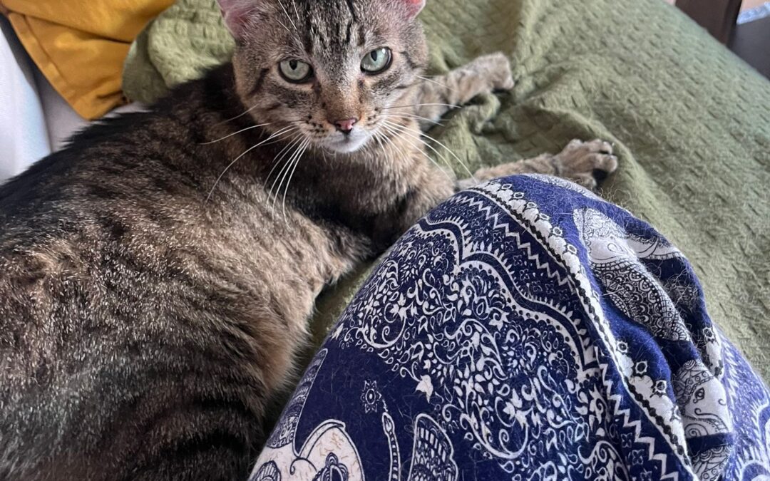 Diego