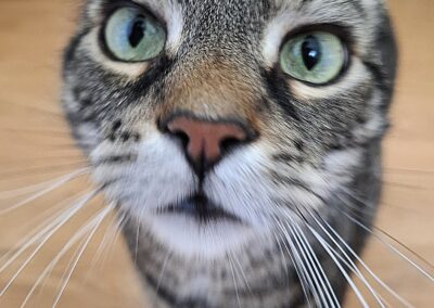 527526064_1067483738906018_9140902270762602359_n