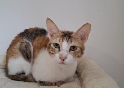 Rosie