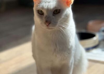 Bianca