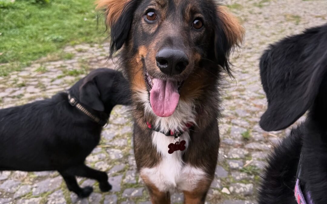 Max