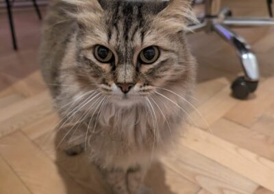 580355750_1148909237430134_1715893757307369591_n