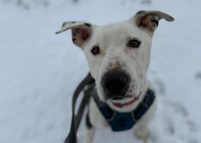 591737133_1163321972655527_7137783311226573114_n