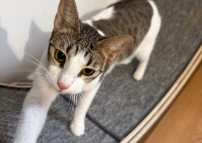 608899715_1188184596835931_7039108659594006119_n