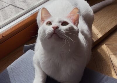 Bianca