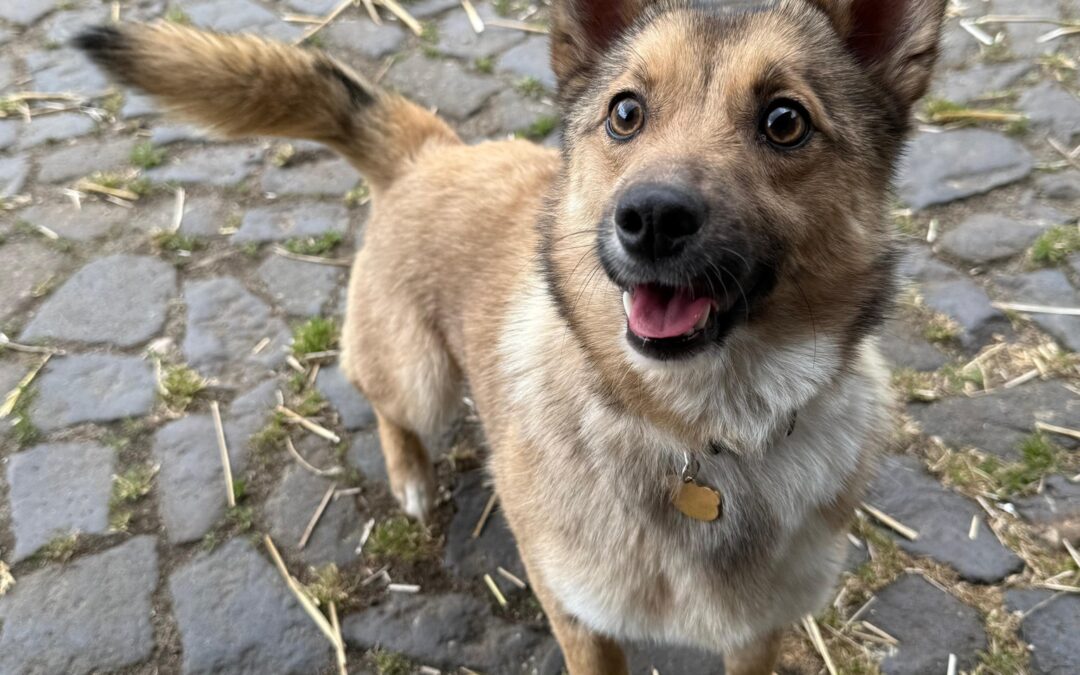Fiona