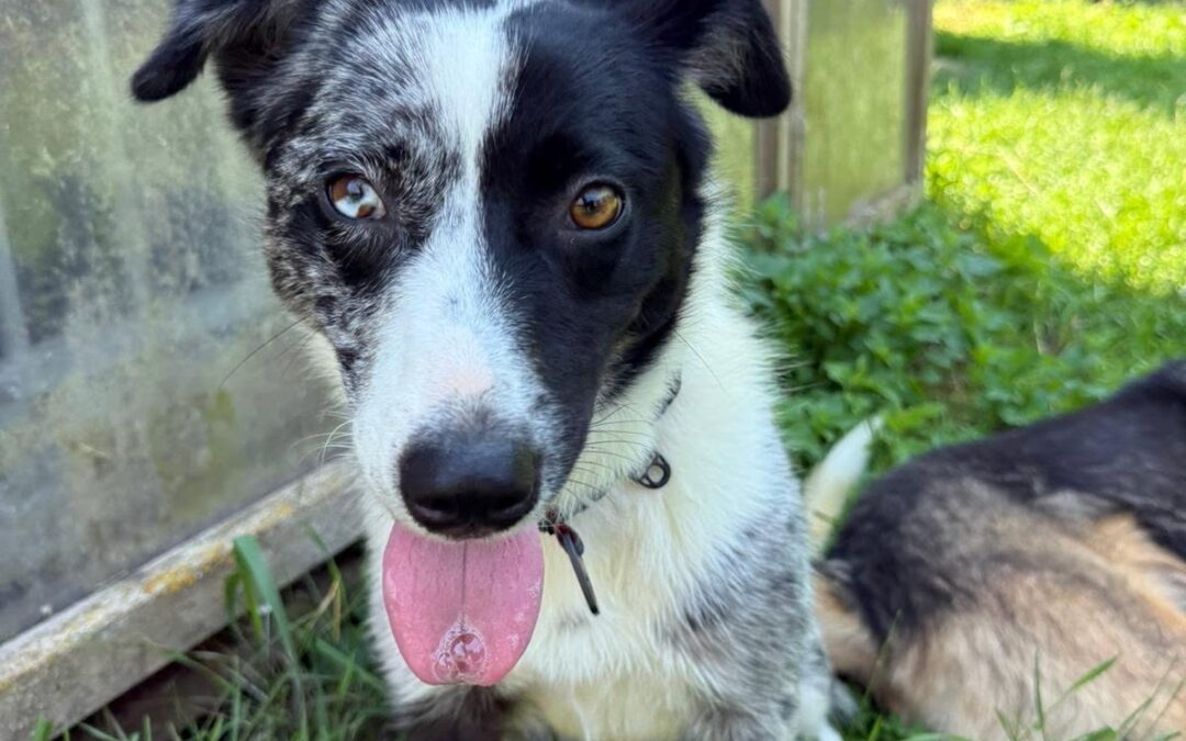 Della